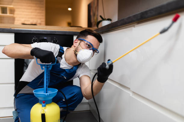 Best Affordable Pest Control Services  in Lyford, TX