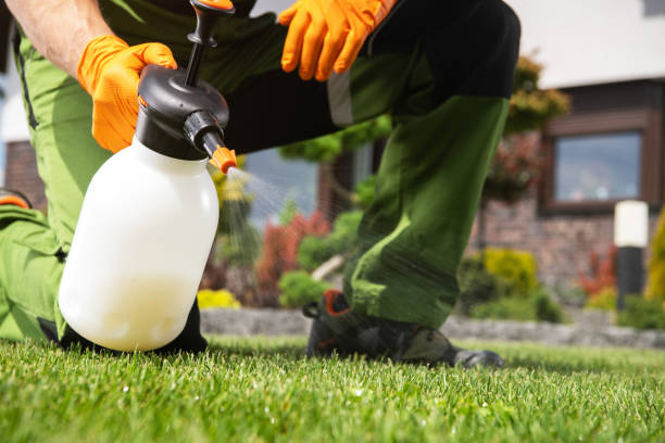 Best Mosquito Control Services  in Lyford, TX