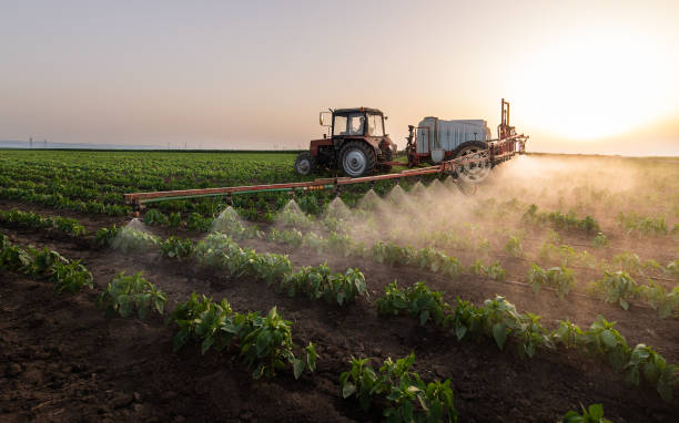 Best Insect Control  in Lyford, TX