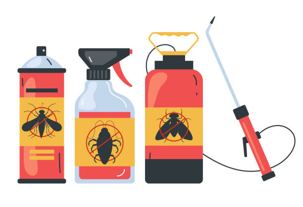 Best Ant Control Services  in Lyford, TX