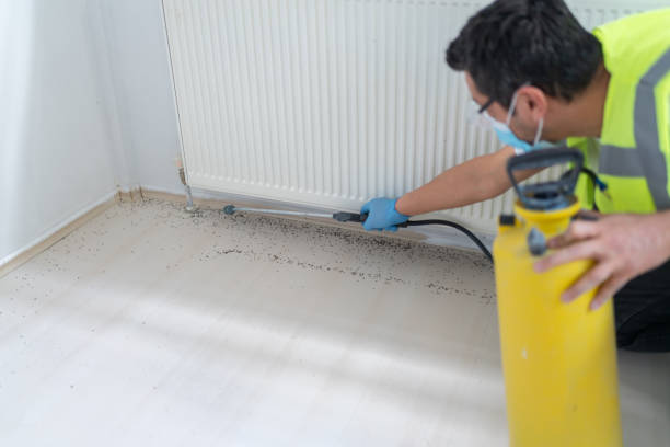 Best Residential Pest Control  in Lyford, TX