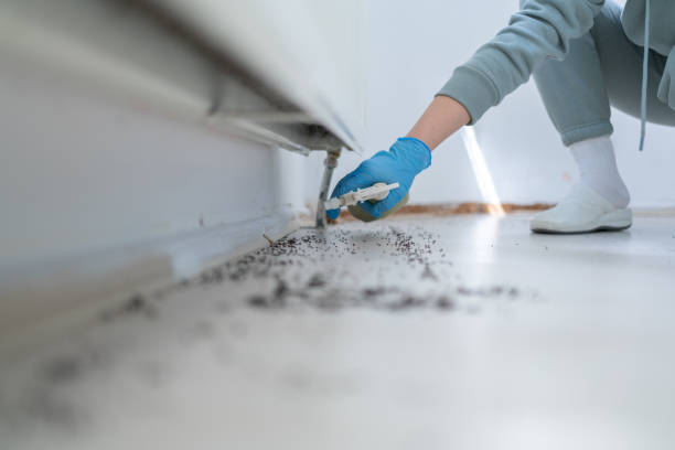Best Best Pest Control Companies  in Lyford, TX